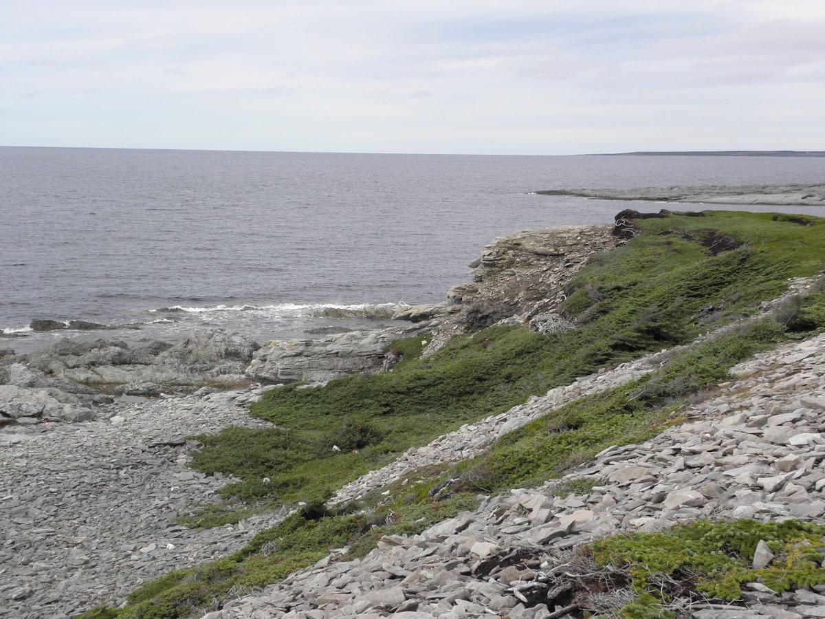 Shoreline, Crow Head Trail, Port Saunders, Port au Choix Peninsula, NL