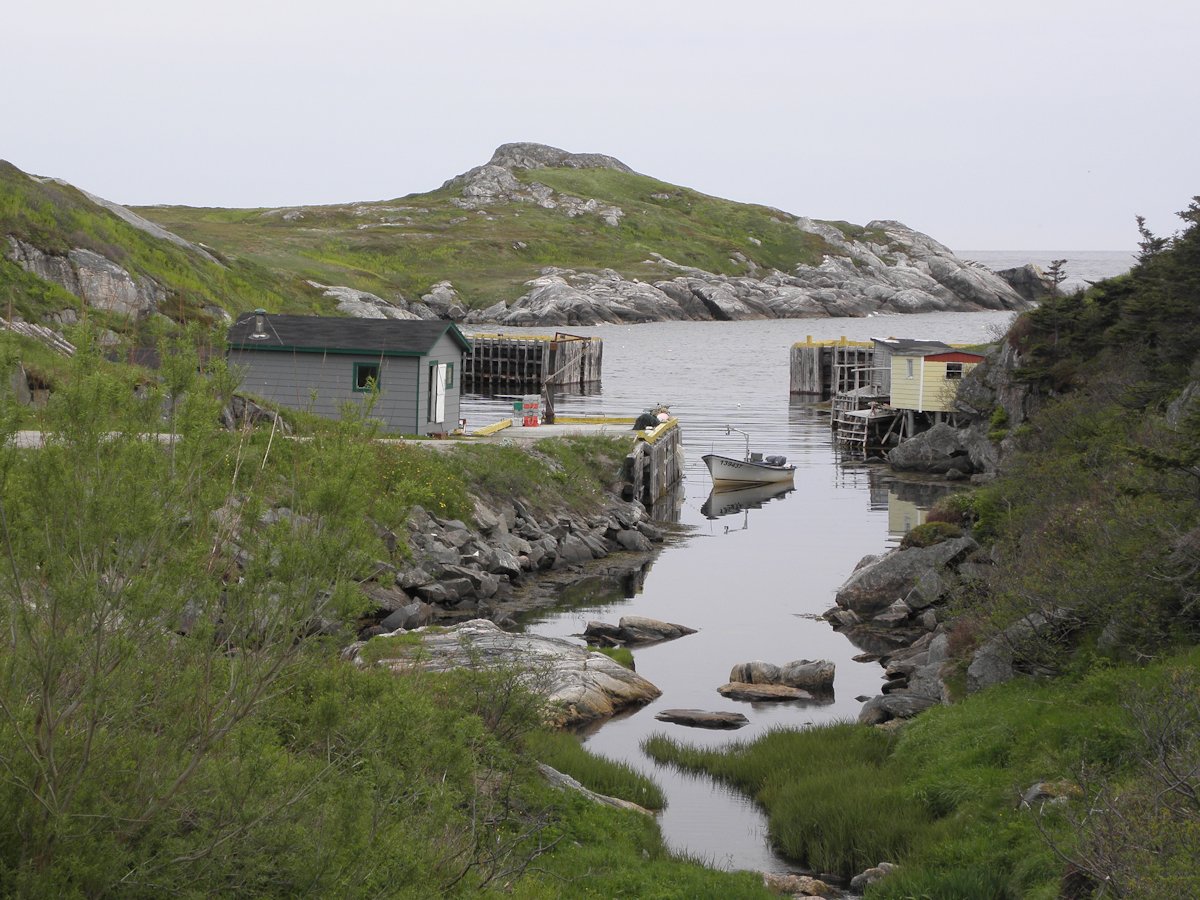 Fox Roost, NL