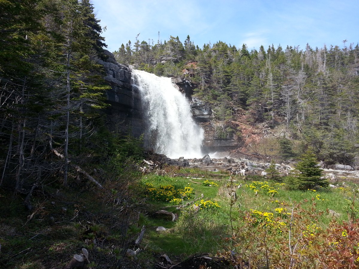 Sheaves Cove, NL