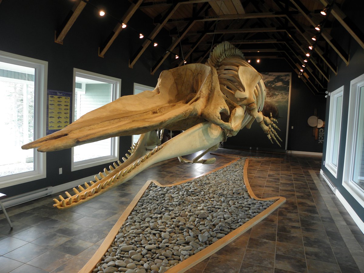 Triton, Newfoundland